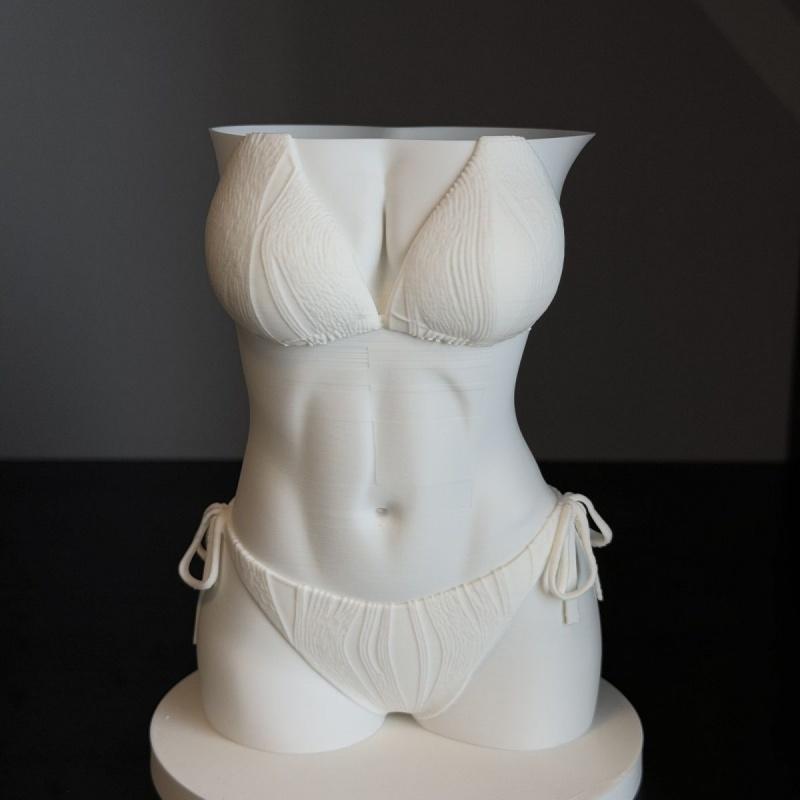 Porte-stylo bikini 3D imprimé, - 3D Printing Pen For Adults avis et prix