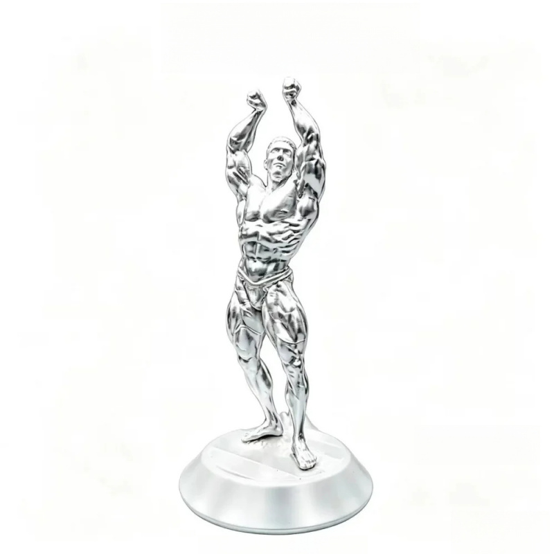 Figurine de compétition mascul - 3D Printing Gold avis et prix