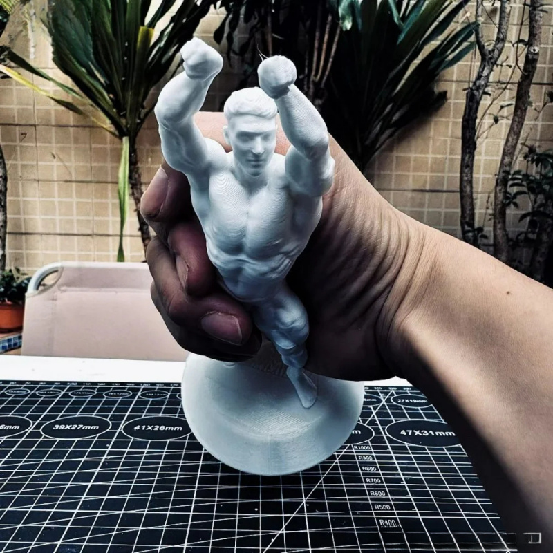 Figurine de compétition mascul - 3D Printing Gold avis et prix