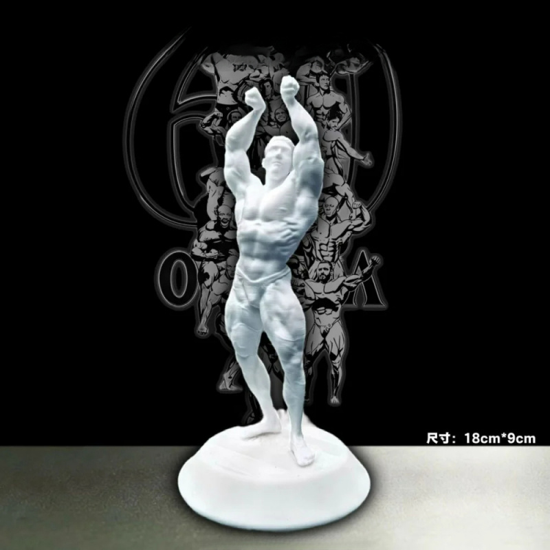 Figurine de compétition mascul - 3D Printing Gold avis et prix